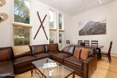 900 E Durant Ave unit B105, Aspen, CO 81611 - photo 4