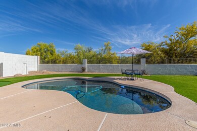 Picture Perfect Backyard