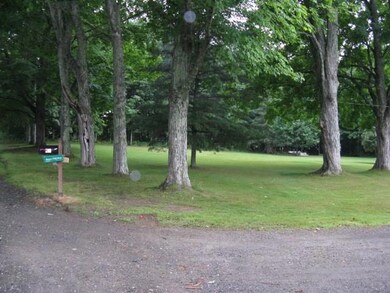 Large shade trees along the town...
