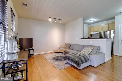 22607 Blue Elder Terrace unit 201, Ashburn, VA 20148 - photo 5