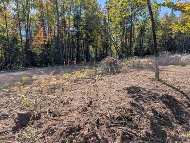 MR11 Lot40 Yeaton Swamp Rd, Oxford, ME 04270 - photo 5