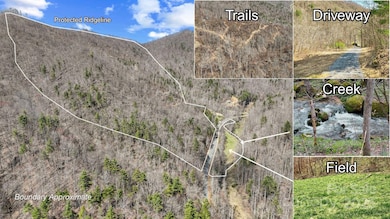 902 Spillcorn Rd, Marshall, NC 28753 - photo 4