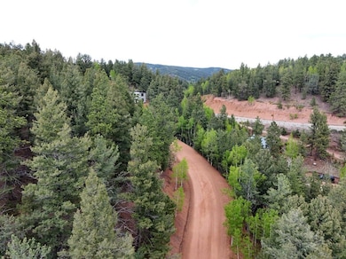 68 Horseshoe Dr, Divide, CO 80814 - photo 5