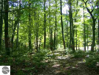 00 E 8th St, Au Gres, MI 48703 - photo 2