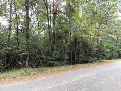 29714 Sweetwater St, Magnolia, TX 77354 - photo 2