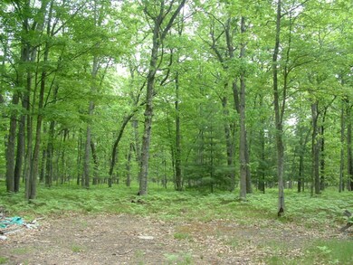 DSCF0097