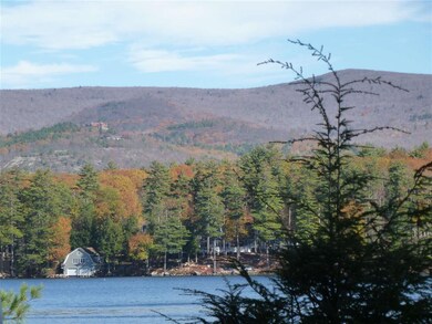 11 Chipmunk Ln, Moultonborough, NH 03254 - photo 5