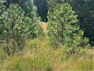 221 Twin Pines Dr, Glendale, OR 97442 - photo 2