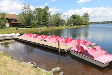 Rental boats