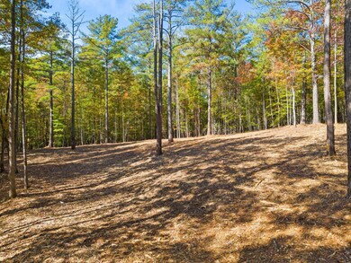 0 Nimmons Bridge Rd, Salem, SC 29676 - photo 6