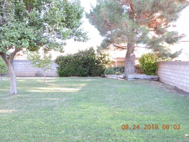 NE BACKYARD