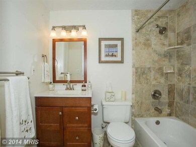 437 Blossom Tree Ct, Annapolis, MD 21409 - photo 5