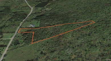 00 Curncross Rd, Smyrna, NY 13464 - photo 4