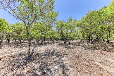 2004 Oak Cliff Ct, Weatherford, TX 76088 - photo 5