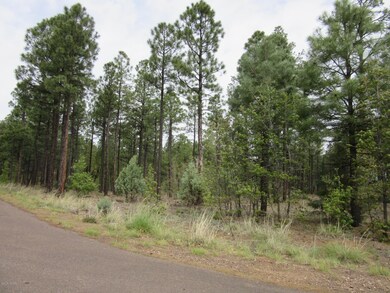 1701 S Bristle Cone Dr, Show Low, AZ 85901 - photo 2