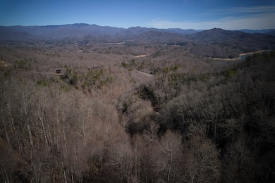 Lot 6A Freeman Overlook, Almond, NC 28702 - photo 3