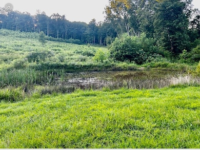 4003 Prussia Rd, Waverly, OH 45690 - photo 6