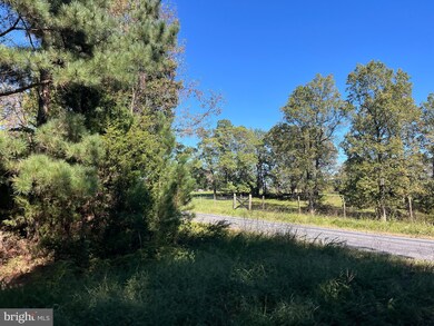 0 Twymans Mill Rd unit VAMA2001908, Madison, VA 22719 - photo 4