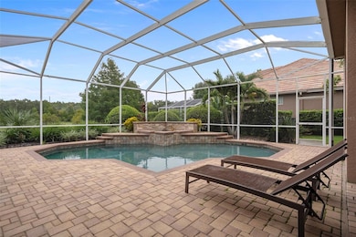 963 Cypress Cove Way, Tarpon Springs, FL 34688 - photo 5