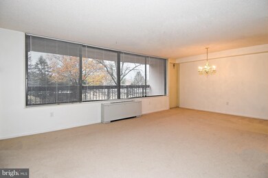 Skyline Plaza unit 207N, Baileys Crossroads, VA 22041 - photo 6