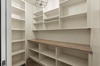 Custom walk-in Pantry