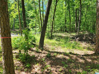 8720 Woodview Ln unit LOT  6-39, Pinson, AL 35126 - photo 2