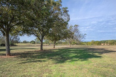 119 Moss Ln, Weatherford, TX 76088 - photo 4