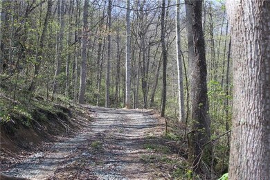 Nice Road IN PLACE  , Mature poplars and other tre