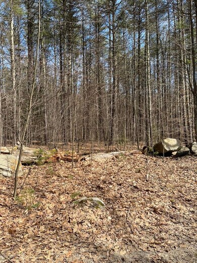 0 Gerrish Rd unit 43-4-3 4917218, Webster, NH 03303 - photo 5