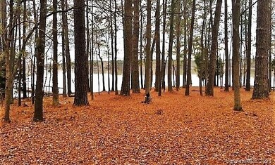 397 Dutchman Ln, Winnsboro, SC 29180 - photo 3