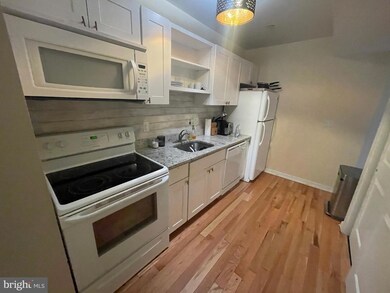 4444 Cresson St unit F, Philadelphia, PA 19127 - photo 5