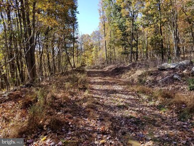 0 Roberts Ln unit 1004071929, Great Cacapon, WV 25422 - photo 5