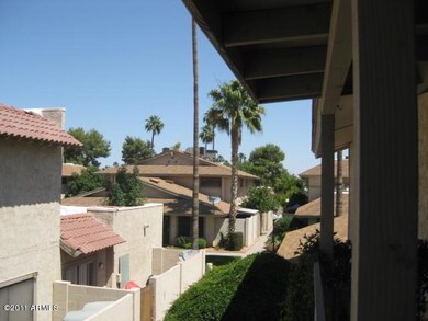 View from the patio