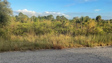 1249 Blaine Ave, Lehigh Acres, FL 33913 - photo 2