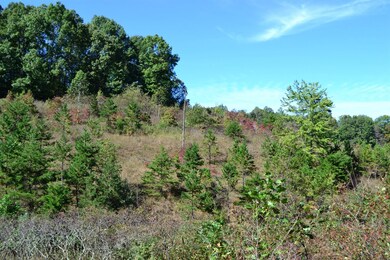 70 Maulden Branch Rd, Elias, KY 40486 - photo 6