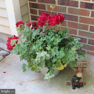 12585 Kempston Ln unit 13, Woodbridge, VA 22192 - photo 2