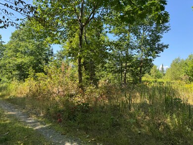 00 Jackman Corner Rd, Sangerville, ME 04479 - photo 3