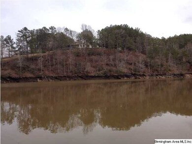VIEW IN WINTER WITH THE WATER DOWN AT WINTER LEVEL