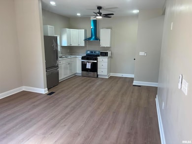 312 W Sycamore St, Carbondale, IL 62901 - photo 3