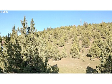 0 Patterson Dr unit 22501178, Canyon City, OR 97820 - photo 4