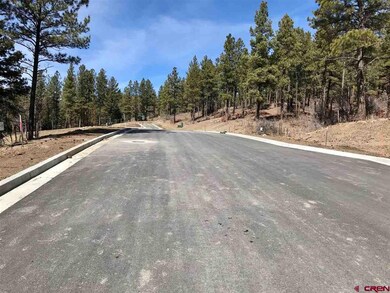 0 Bell Flower Ct unit 768245, Durango, CO 81301 - photo 5