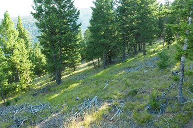 24 Old Toby Rd, Big Sky, MT 59716 - photo 3