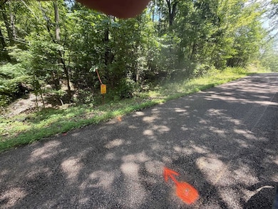 TRACT 5 Cherry Chapel Loop, Savannah, TN 38372 - photo 2