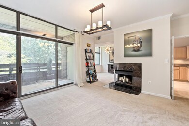 11556 Rolling Green Ct unit 201, Reston, VA 20191 - photo 5