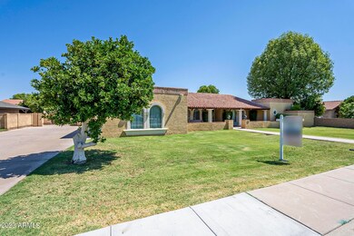Hackamore-4