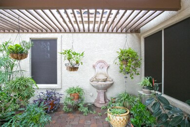 New extended sun screen and pavers