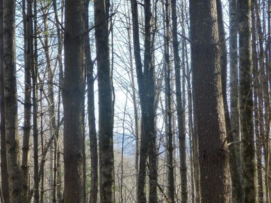 0 Lexington Turnpike unit 330760, Oronoco, VA 24521 - photo 7