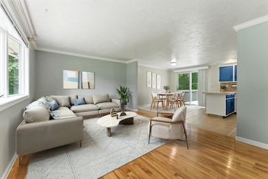 40 Wilfred St, West Springfield, MA 01089 - photo 4