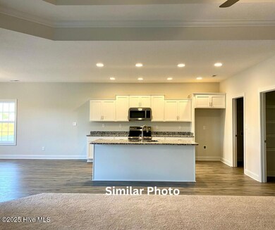 207 Windsor Run Blvd, Jacksonville, NC 28546 - photo 5