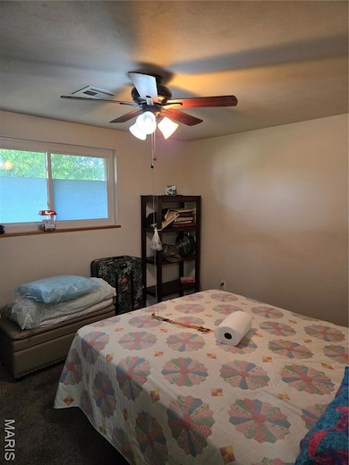 15 Elmwood Place, Saint Charles, MO 63301 - photo 6